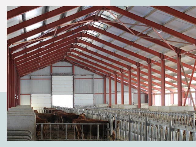 Строительство коровников в Донецке