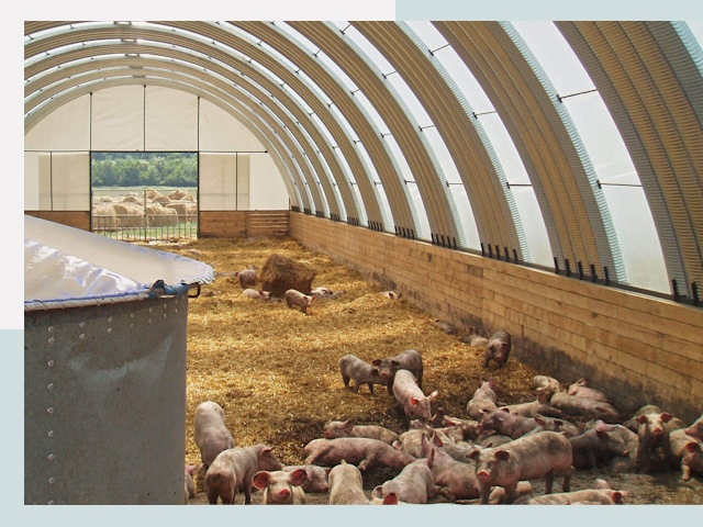 Строительство свинарников в Донецке