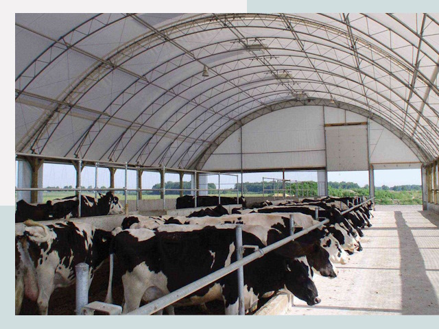 Тентовые коровники в Донецке